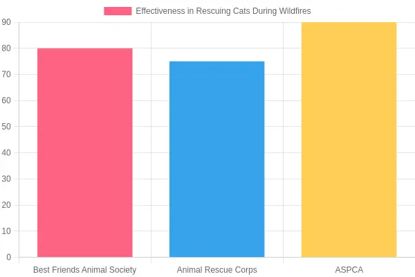 Effectiveness of Cat Rescue Organizations during Wildfires
